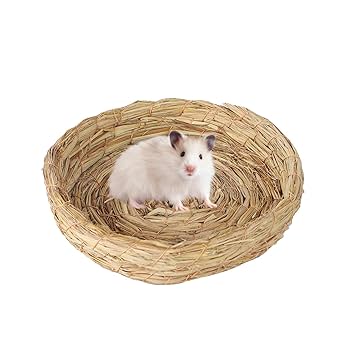 Amazon.co.jp: 繁殖草の巣 - 手作りのわらの鳥の巣 |フラット